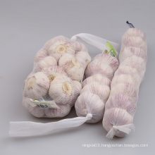 new crop China high quality cheap price normal white fresh chinese garlic